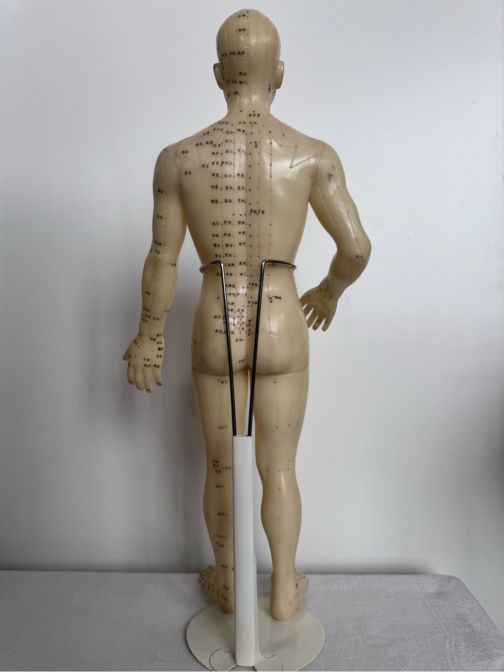 Vintage Acupuncture Model Nude Male Rubber Dummy w Vintage Avon Book - Picture 7 of 12